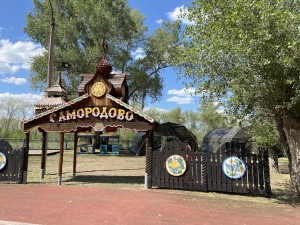 IMG_1254.jpeg